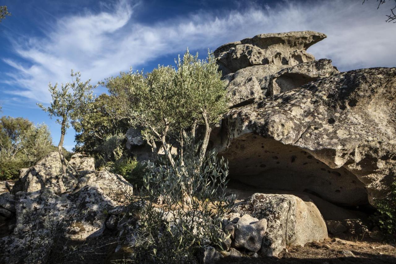 Gallicantu Stazzo Retreat Luogosanto Exterior photo